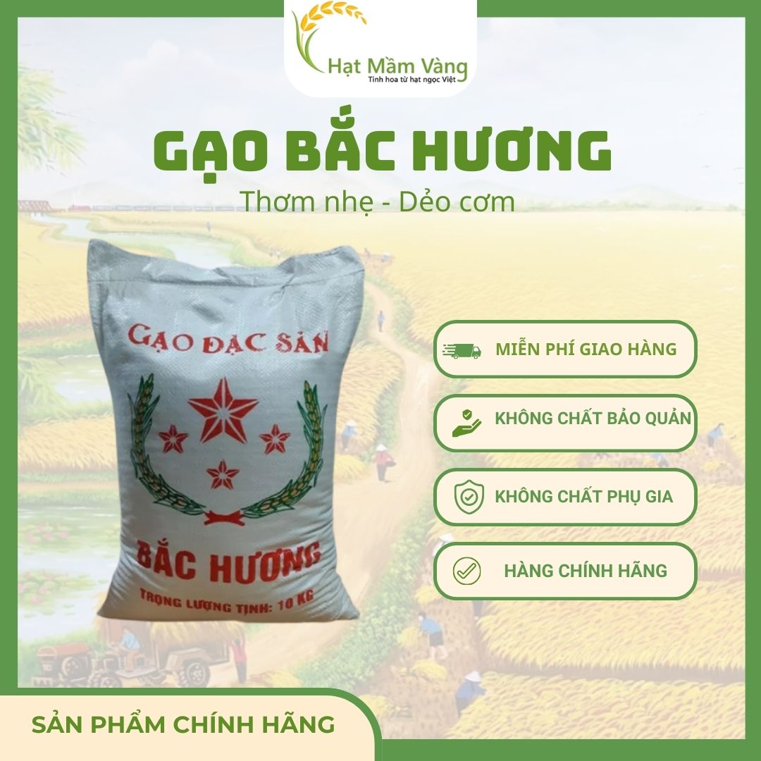 GẠO BẮC HƯƠNG