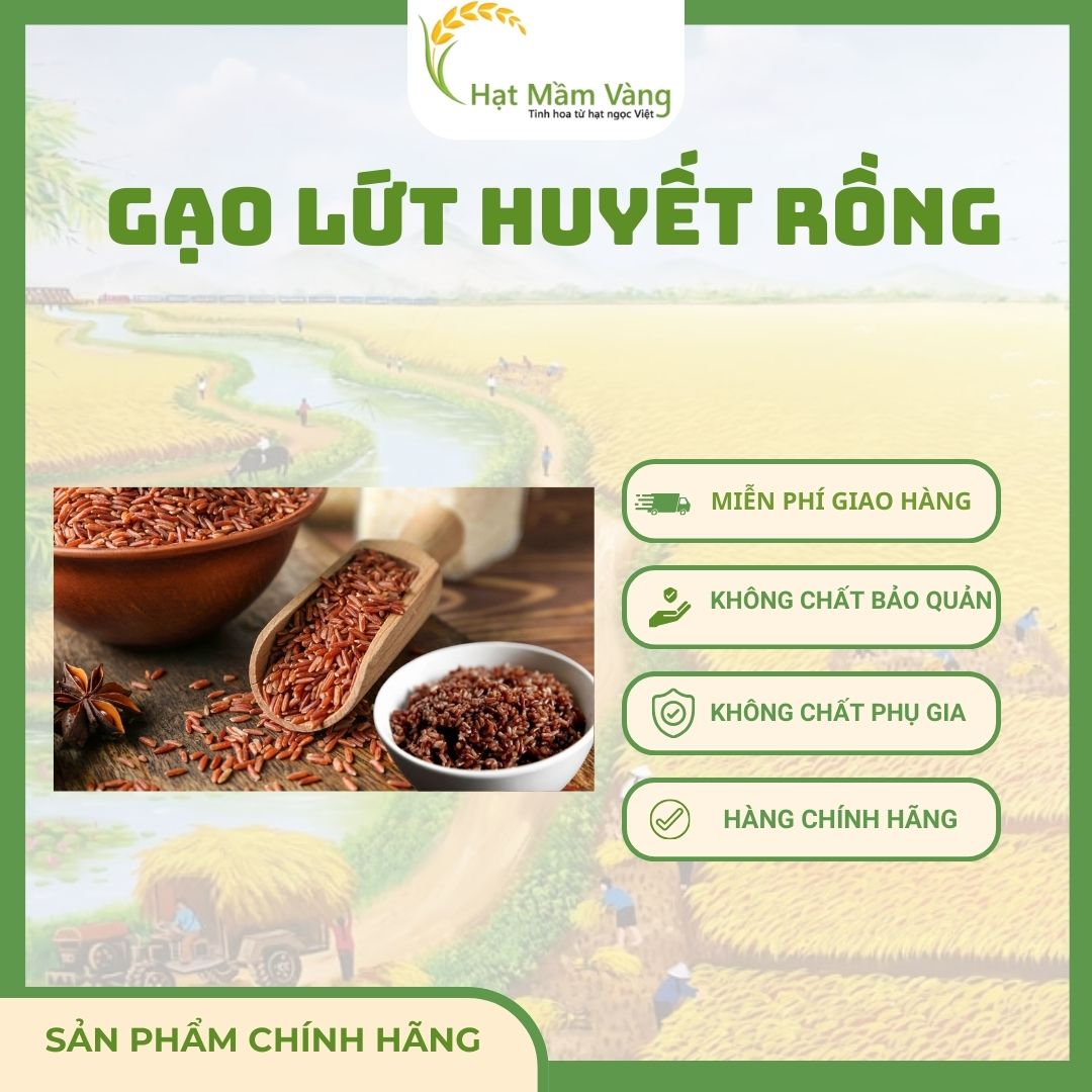 GẠO LỨT HUYẾT RỒNG