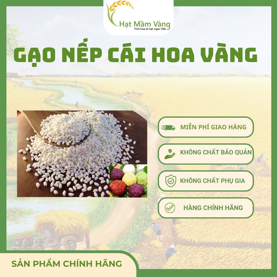 GẠO NẾP CÁI HOA VÀNG