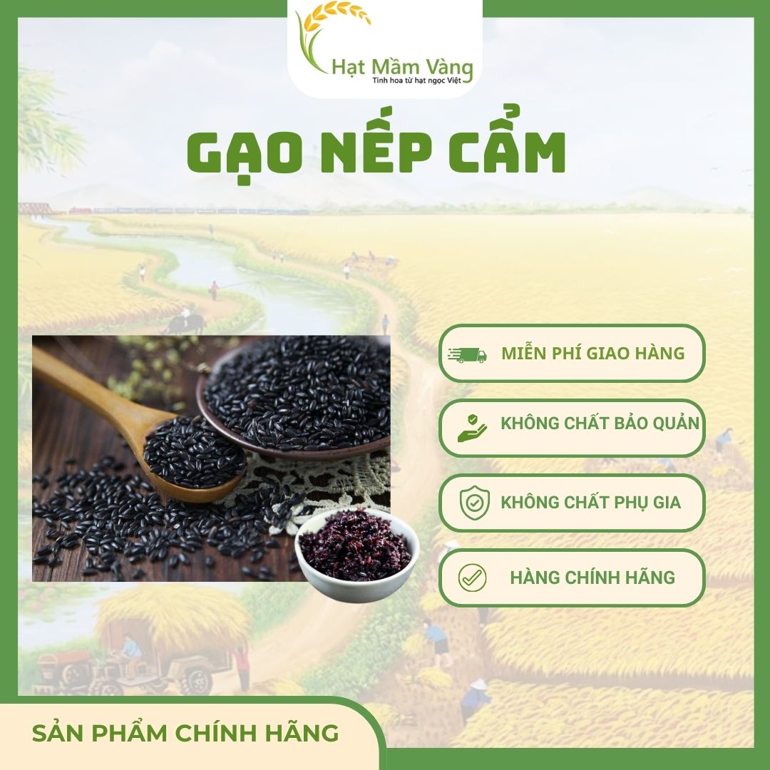 GẠO NẾP CẨM
