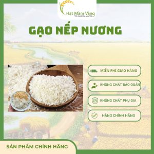 GẠO NẾP NƯƠNG