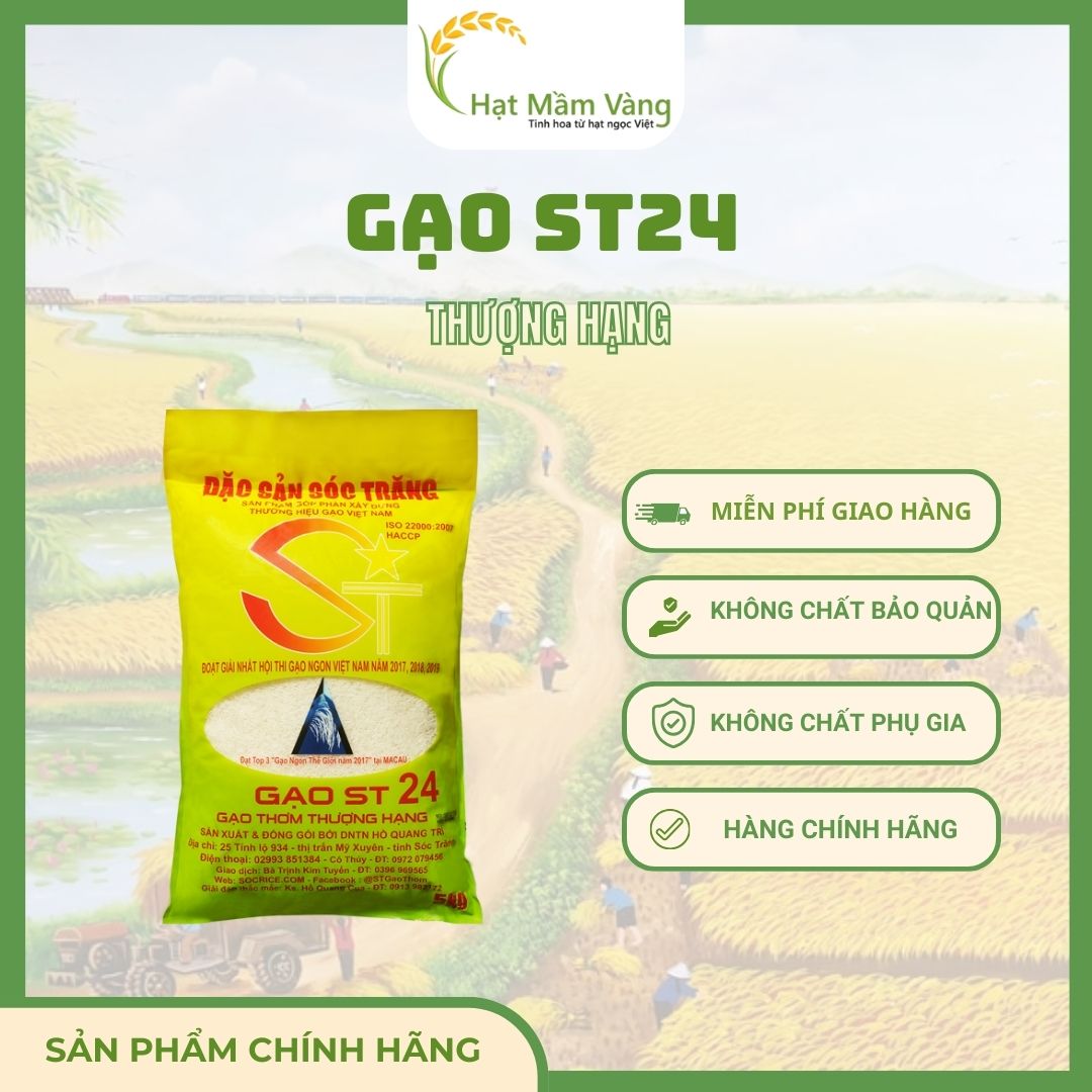GẠO ST24