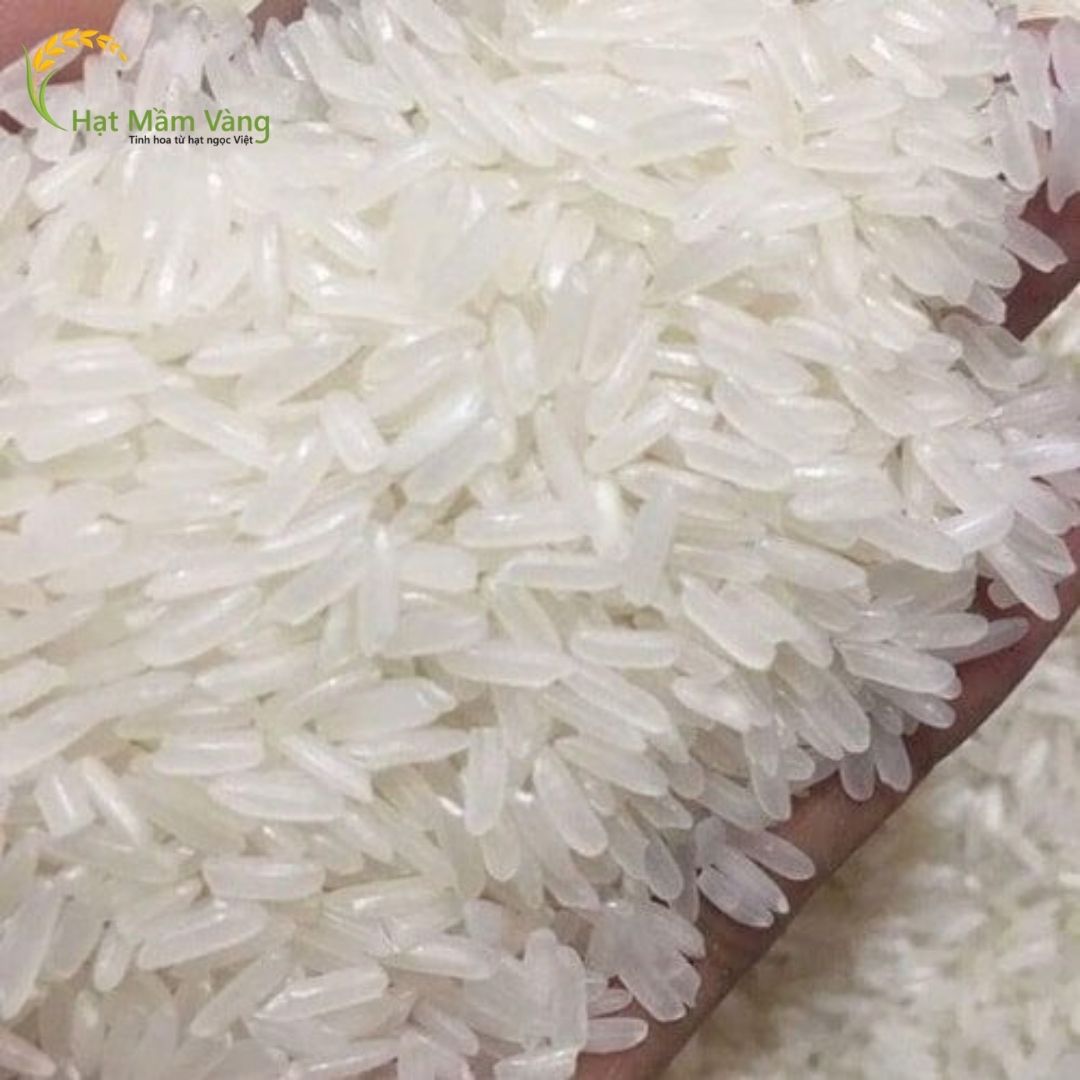 GẠO TÁM THÁI ĐỎ