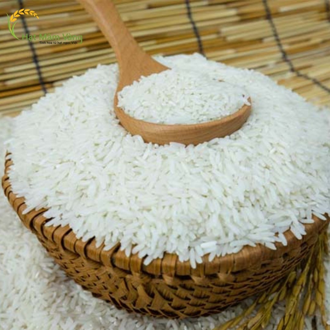 GẠO TÁM THƠM