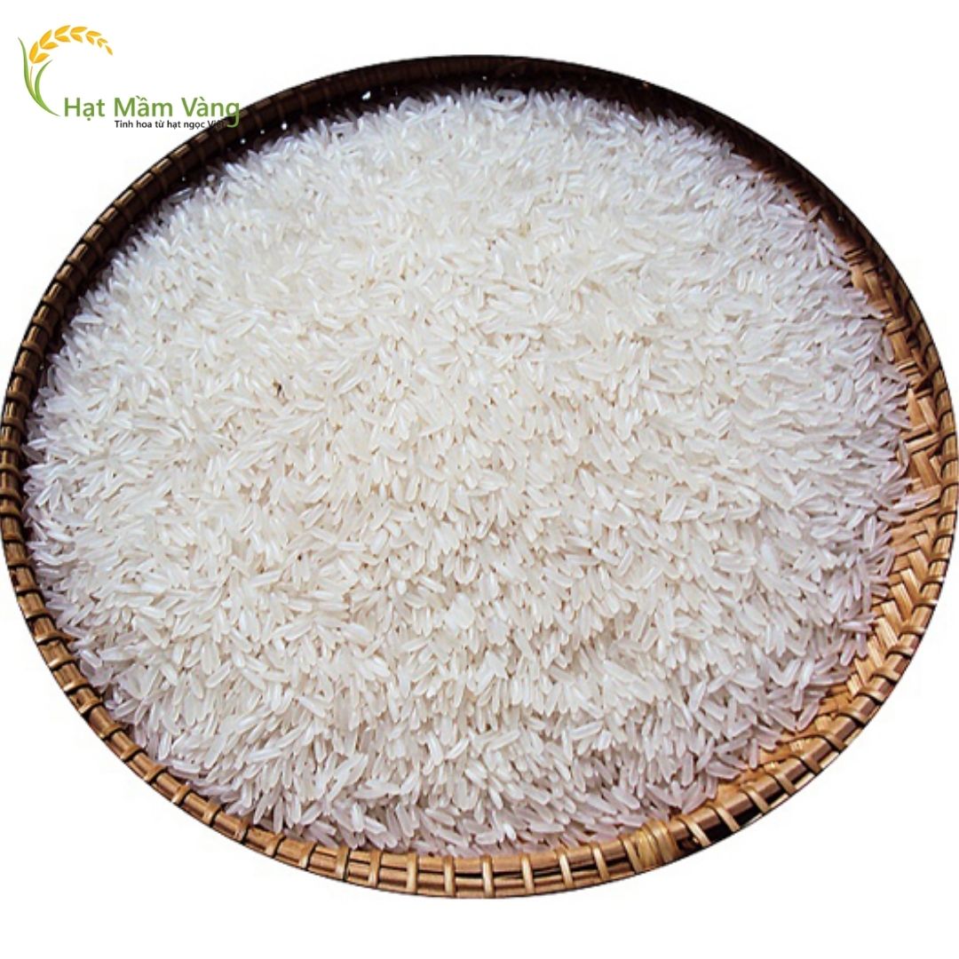 GẠO TÁM XOAN