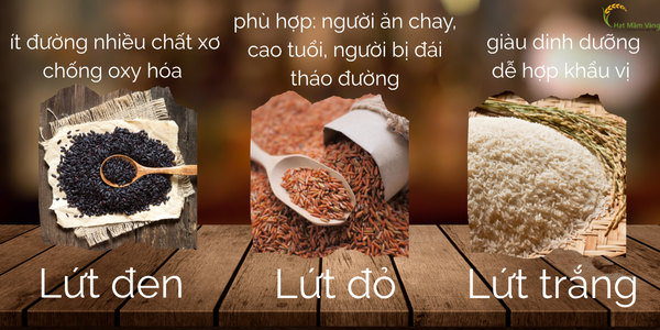 tiêu chí lựa chọn gao lứt giảm cân 