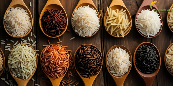 người không nên ăn gạo lứt