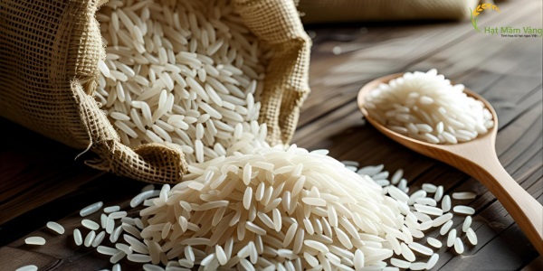 lựa chọn gạo chất lượng
