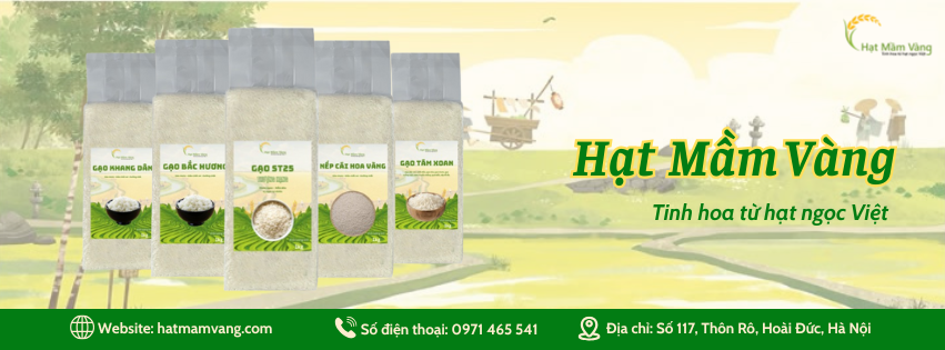 HẠT MẦM VÀNG