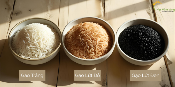 Phân loại các loại gạo phổ biến